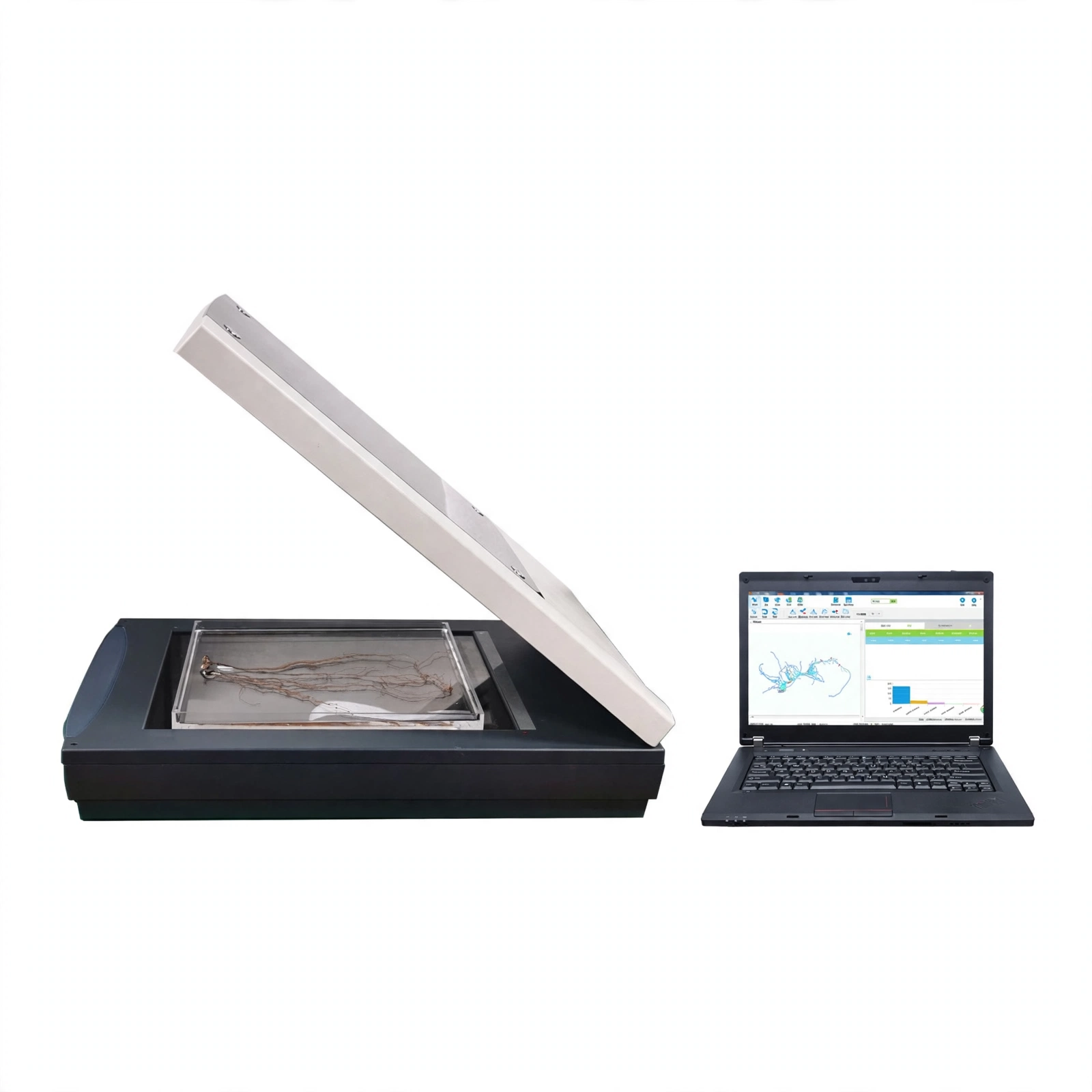 Root Scanner