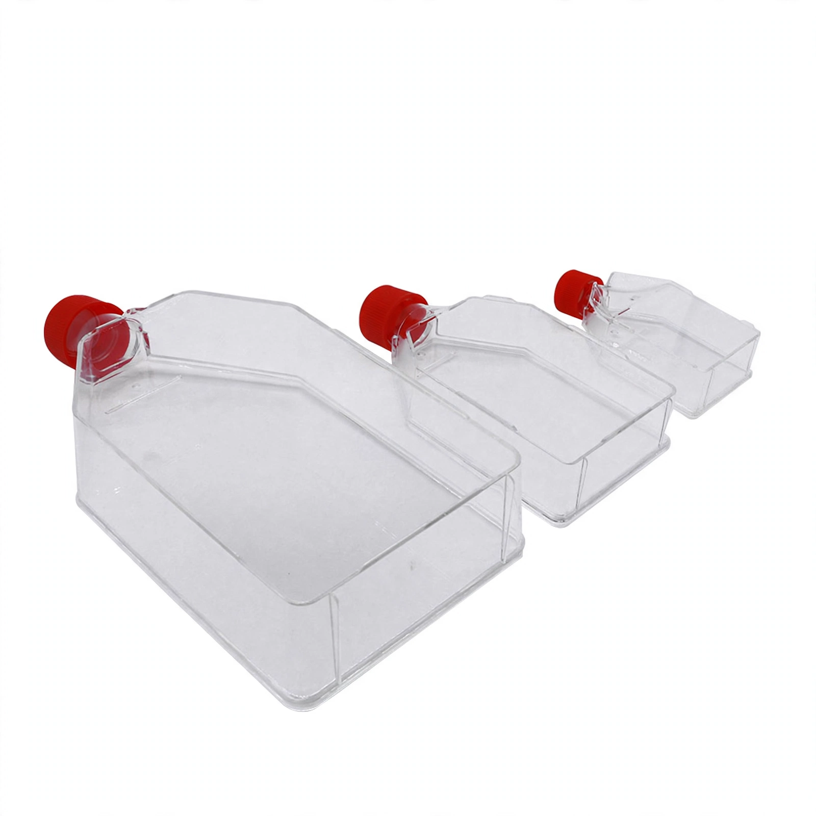 Cell Culture Flask