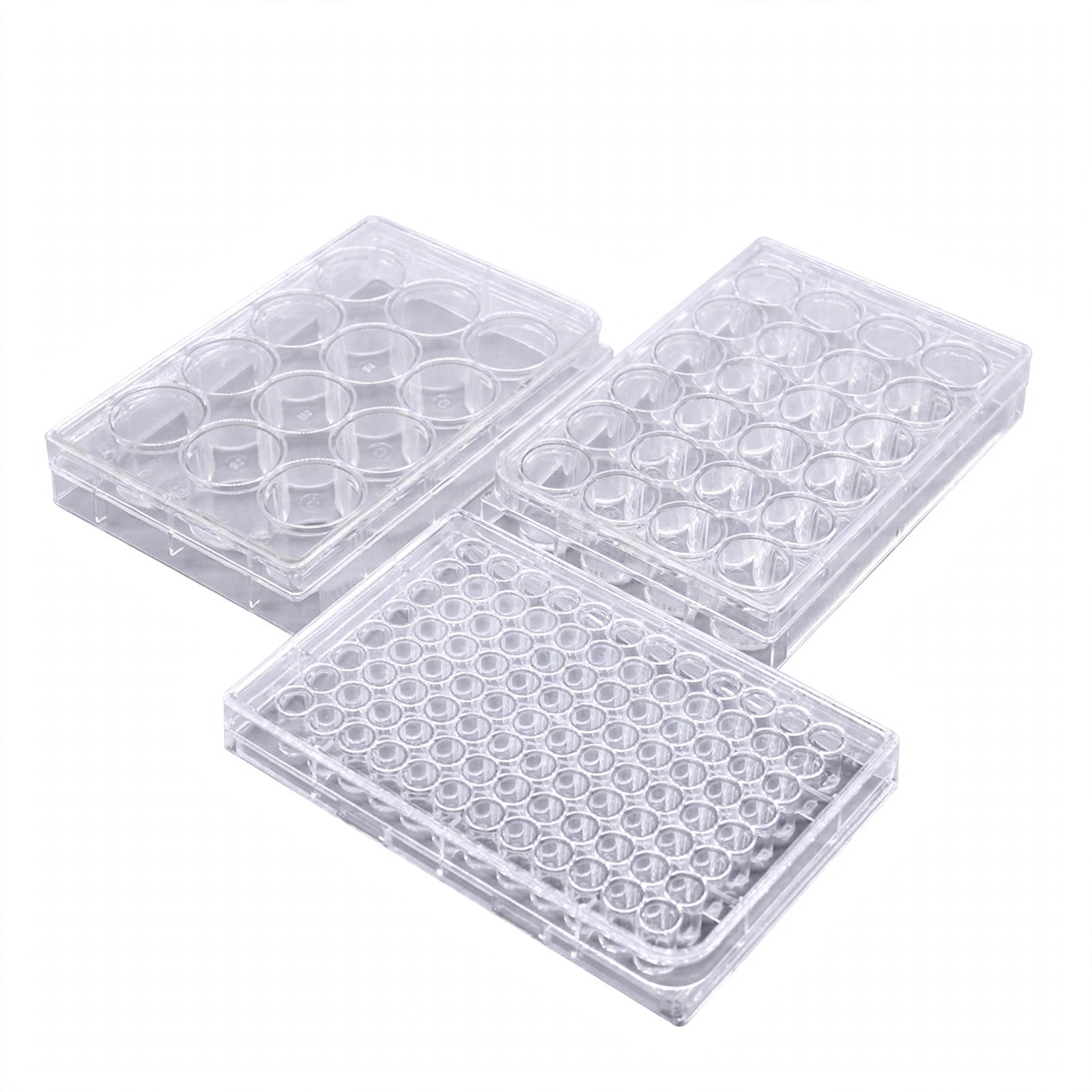 Cell Culture Plate