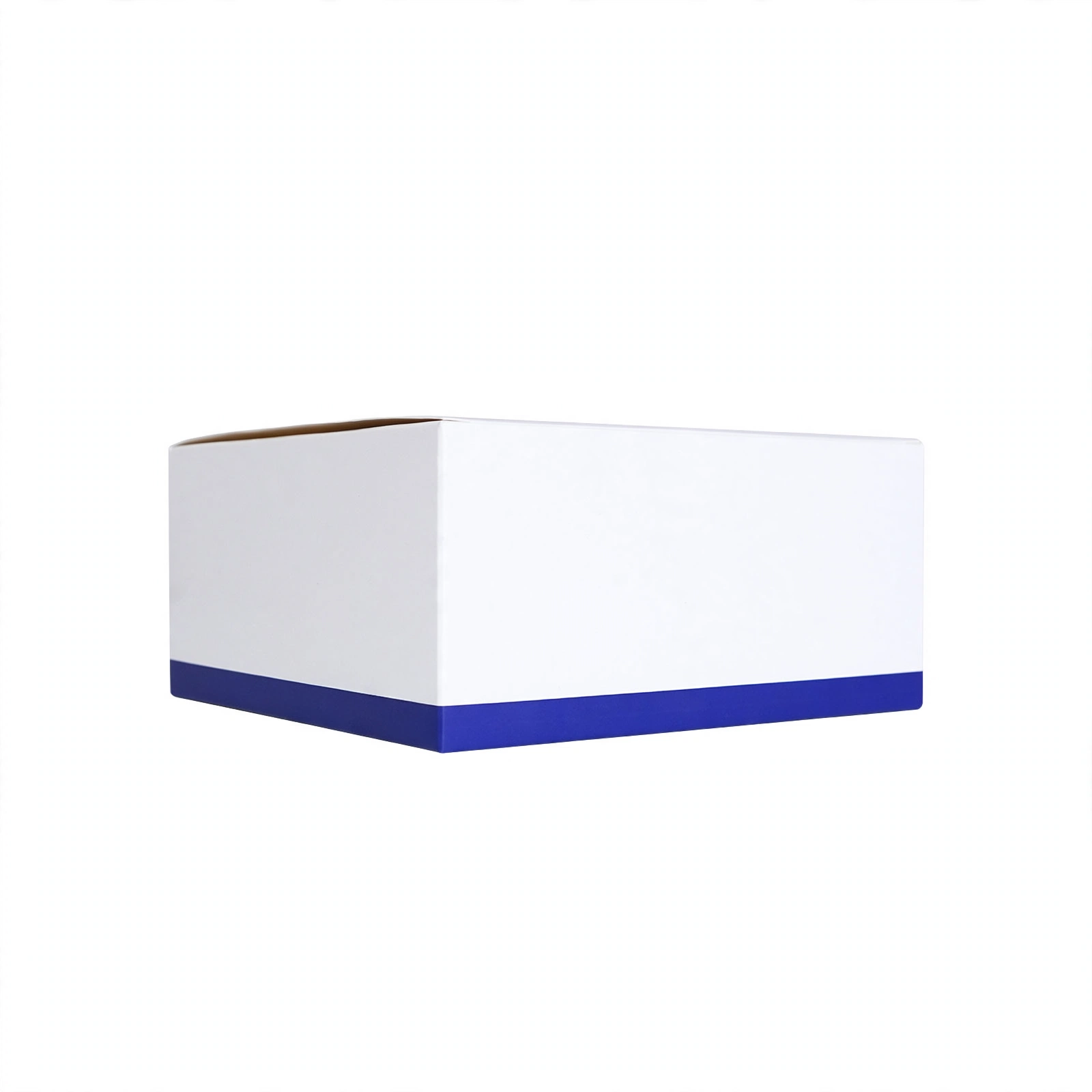 Fluorescence lmmunoassay Reagent