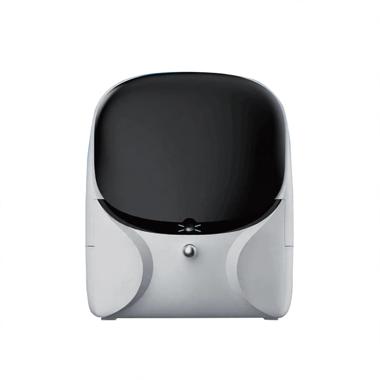 Nucleic Acid Fragment Analyzer