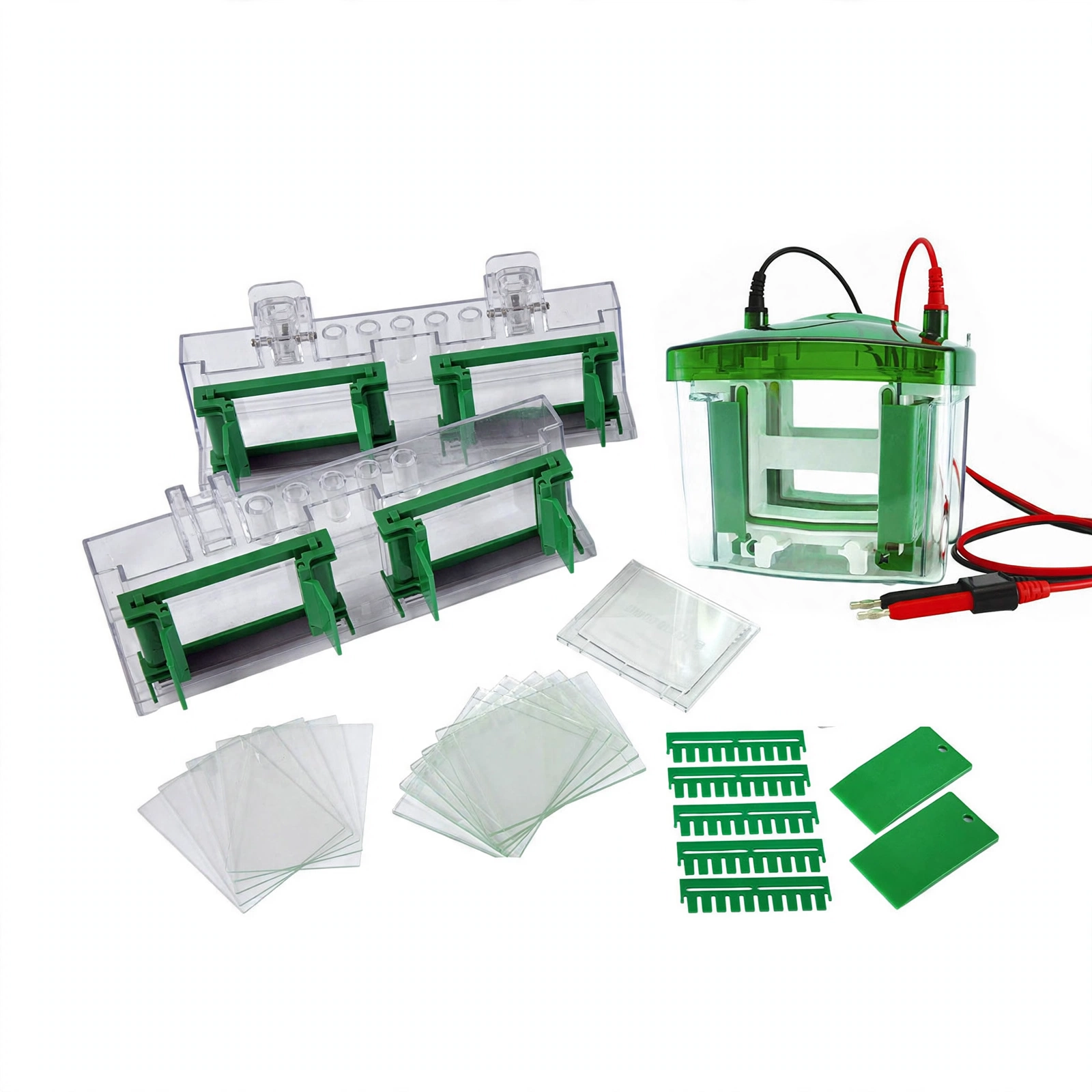 Vertical Electrophoresis Tank BK-VET02