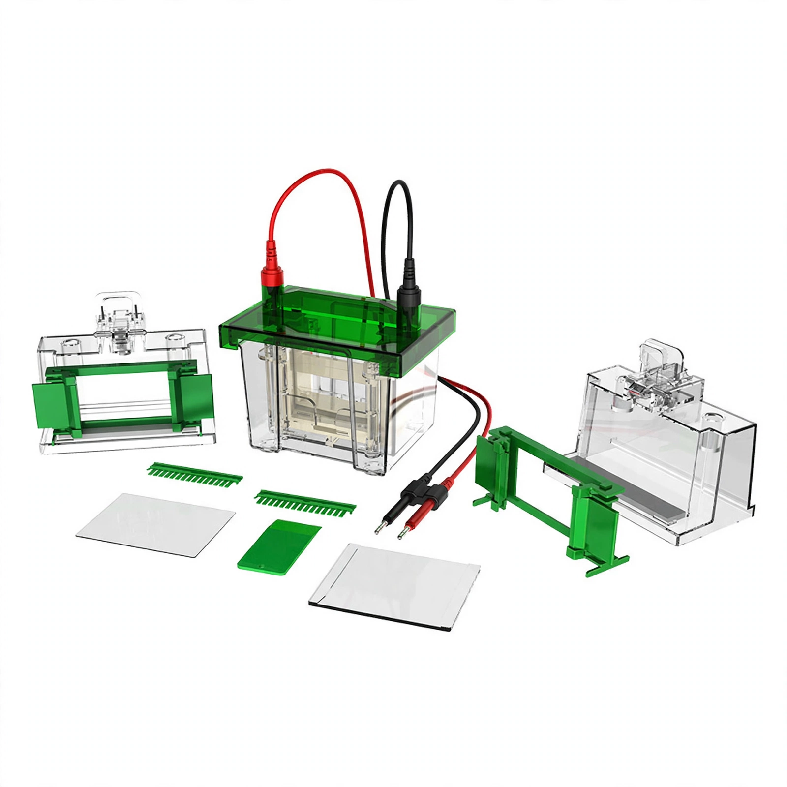 Vertical Electrophoresis Tank BK-VET01