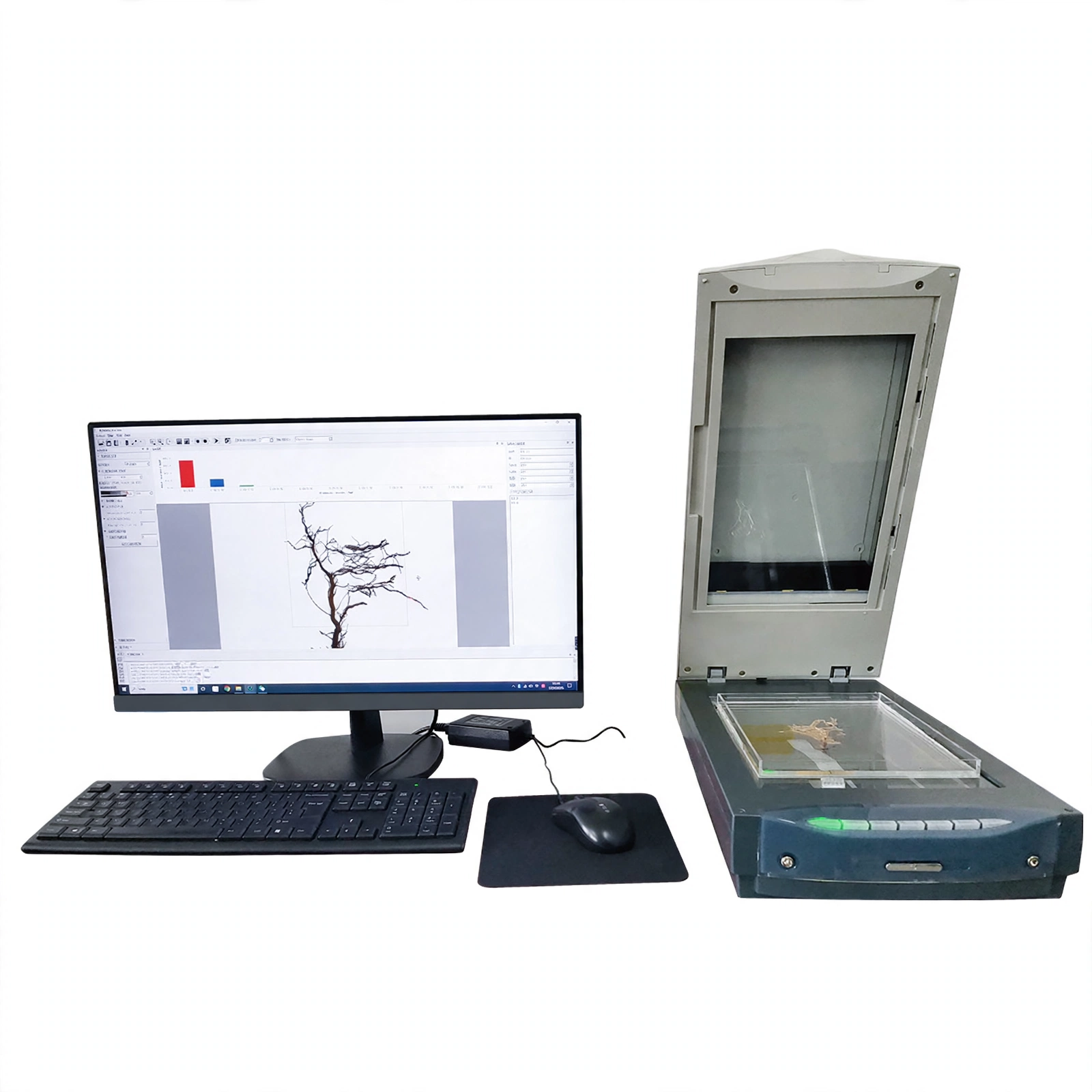 Plant Root Analysis System