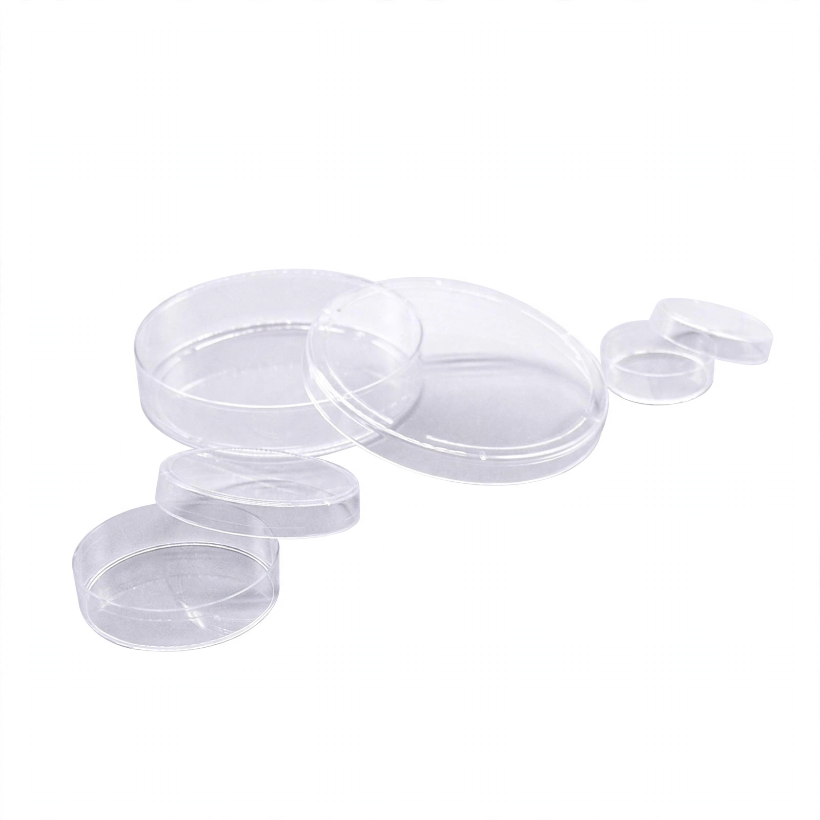 Cell Culture Dish